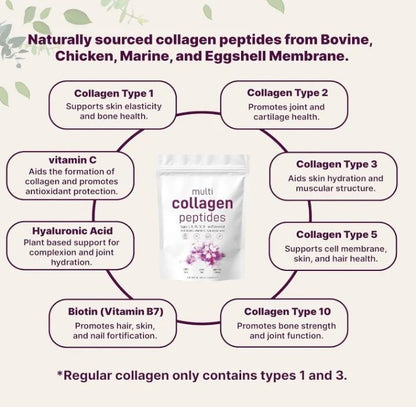 🧬 Complejo de Péptidos Multi Colágeno - Belleza, Fuerza y Vitalidad ✨